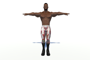 Low Poly Character Free Download